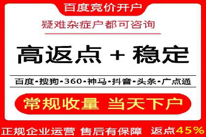 百度广告投放策略优化及成功案例解析